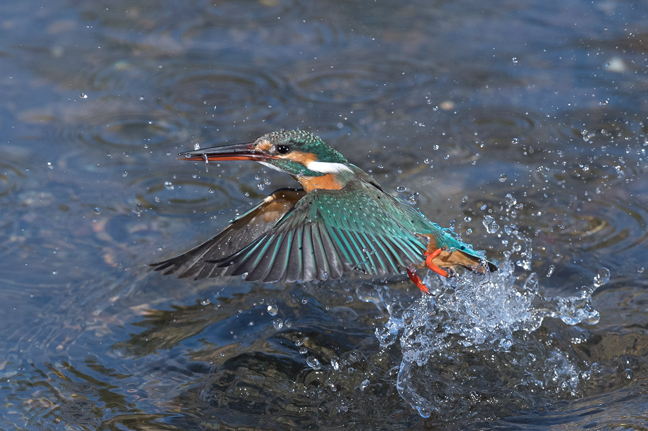 f:id:xjmarin:20210220190214j:plain