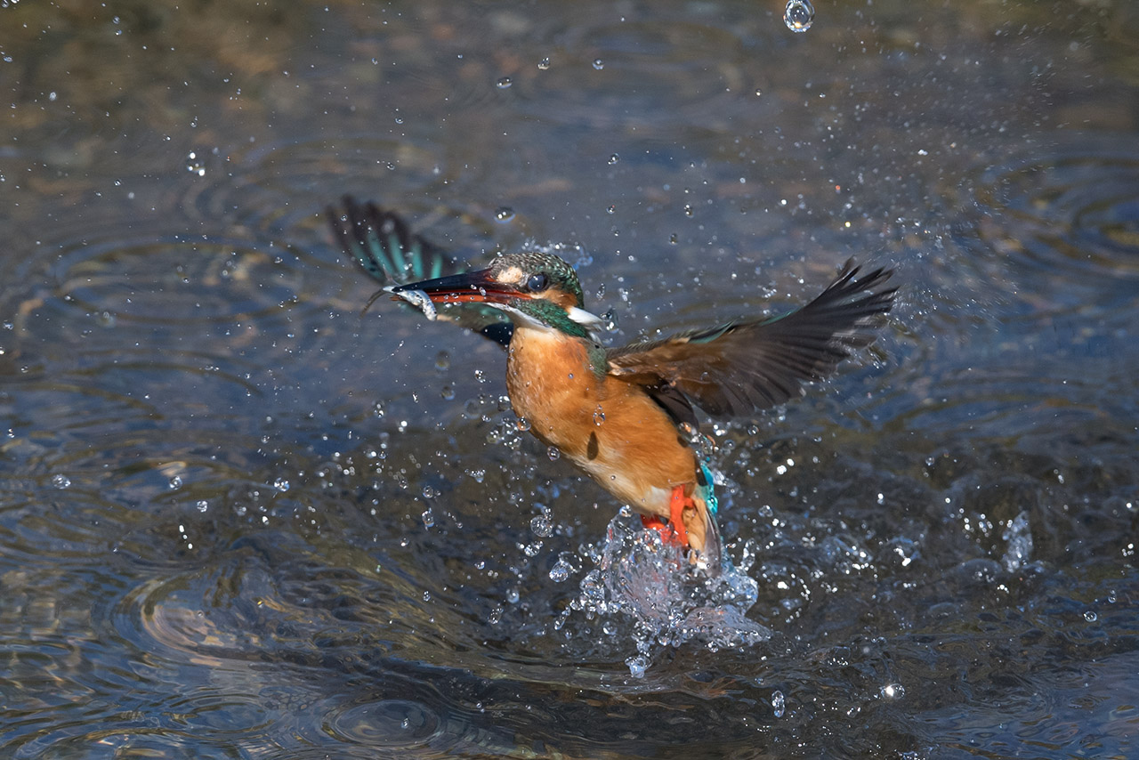 f:id:xjmarin:20210220190217j:plain