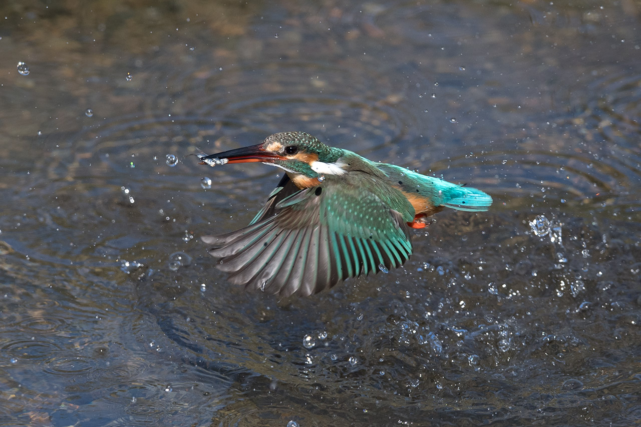 f:id:xjmarin:20210220190219j:plain