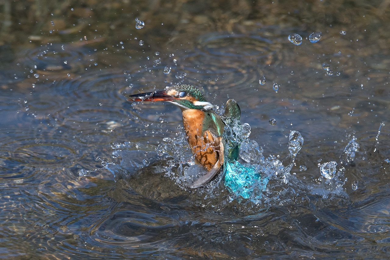 f:id:xjmarin:20210220190226j:plain