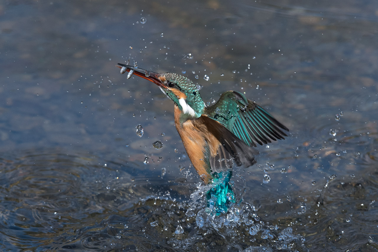 f:id:xjmarin:20210220190230j:plain