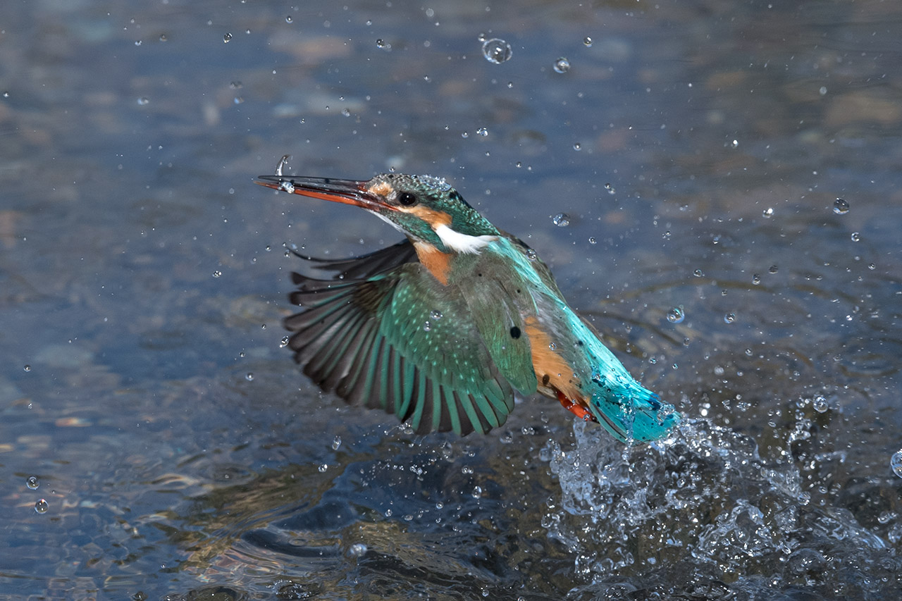 f:id:xjmarin:20210220190237j:plain