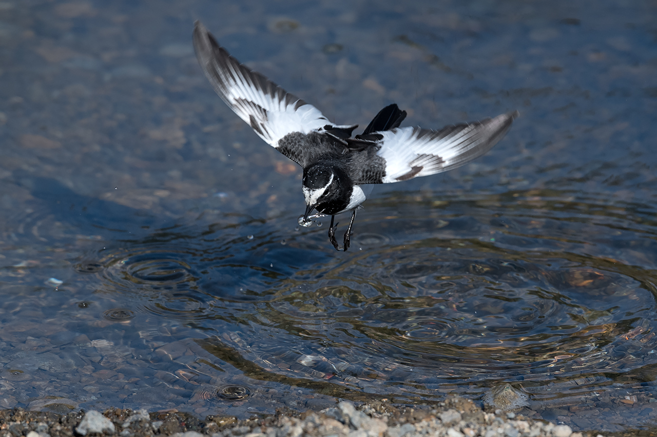 f:id:xjmarin:20210220190243j:plain