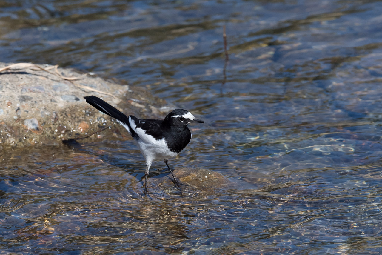 f:id:xjmarin:20210220190252j:plain