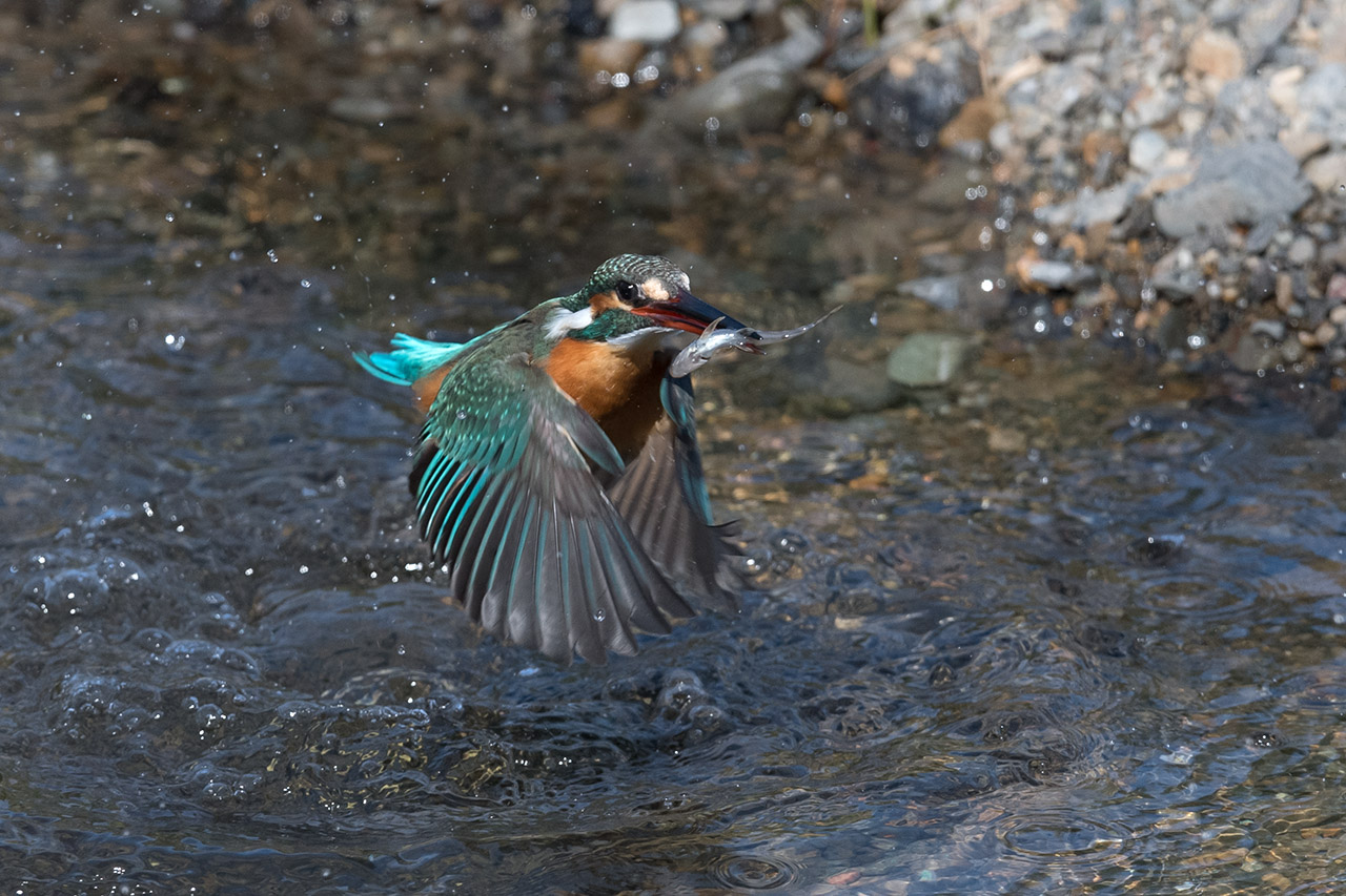 f:id:xjmarin:20210220190303j:plain