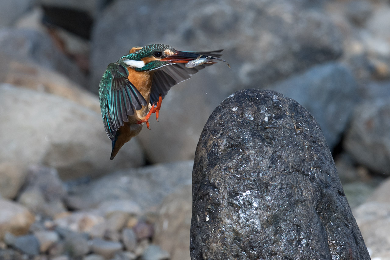 f:id:xjmarin:20210220190304j:plain