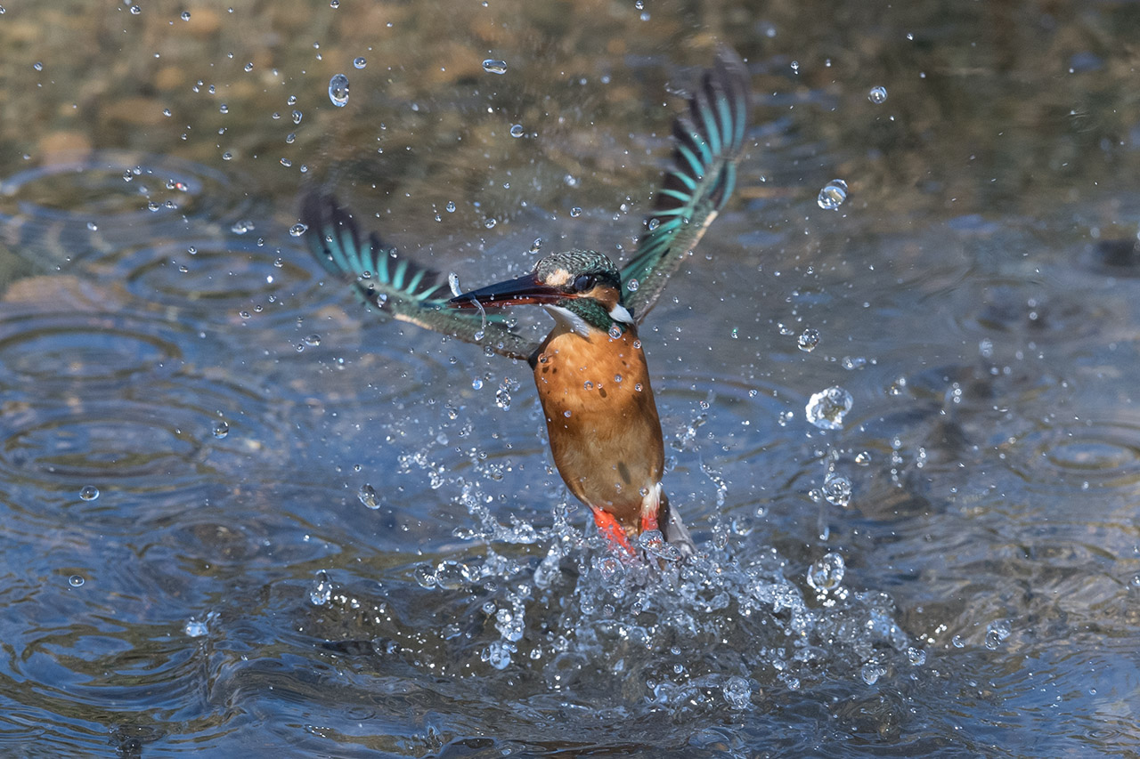 f:id:xjmarin:20210220190311j:plain