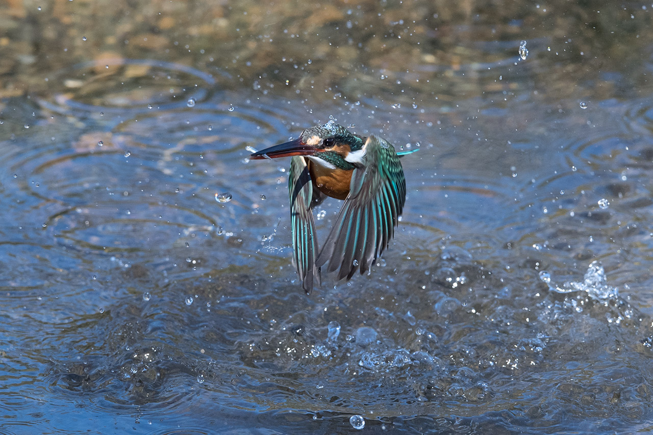 f:id:xjmarin:20210220190312j:plain