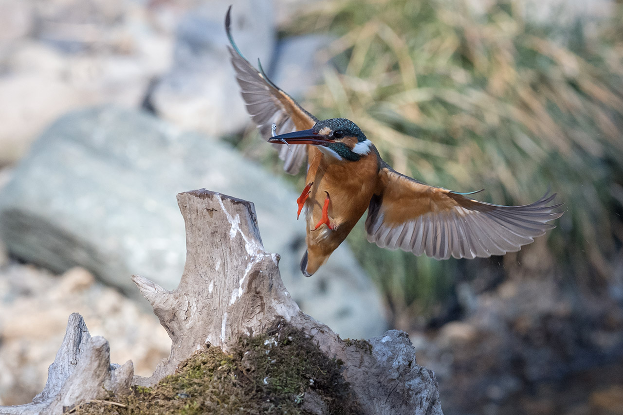 f:id:xjmarin:20210220190313j:plain