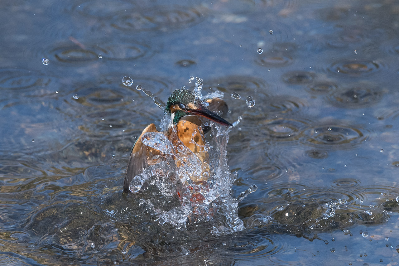 f:id:xjmarin:20210220190321j:plain