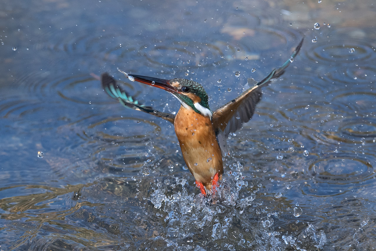 f:id:xjmarin:20210220190323j:plain