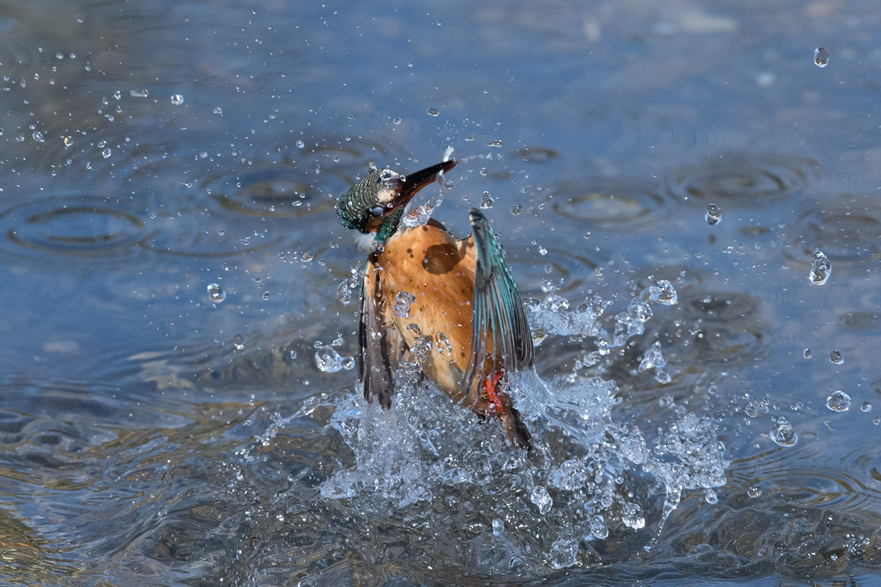 f:id:xjmarin:20210220190327j:plain