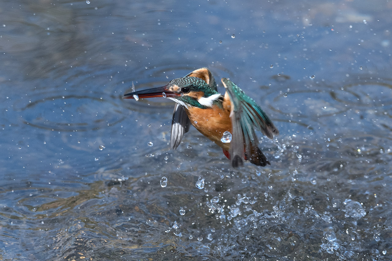 f:id:xjmarin:20210220190329j:plain