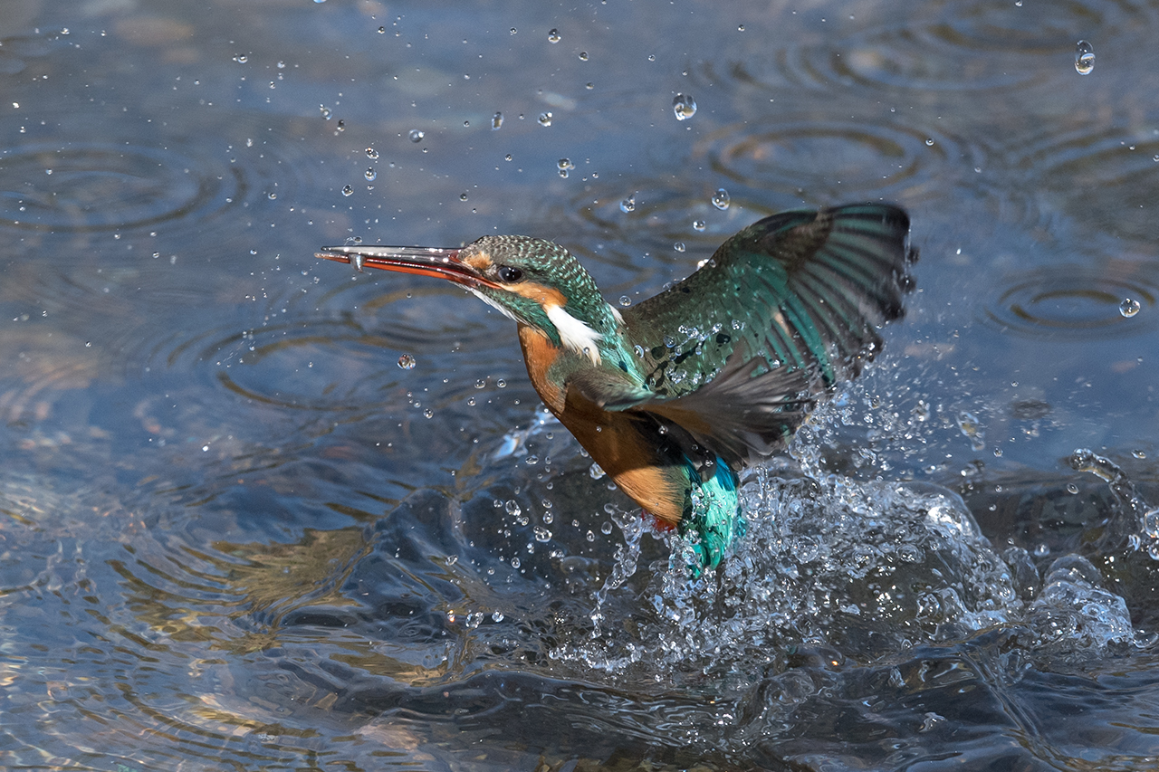 f:id:xjmarin:20210220215857j:plain