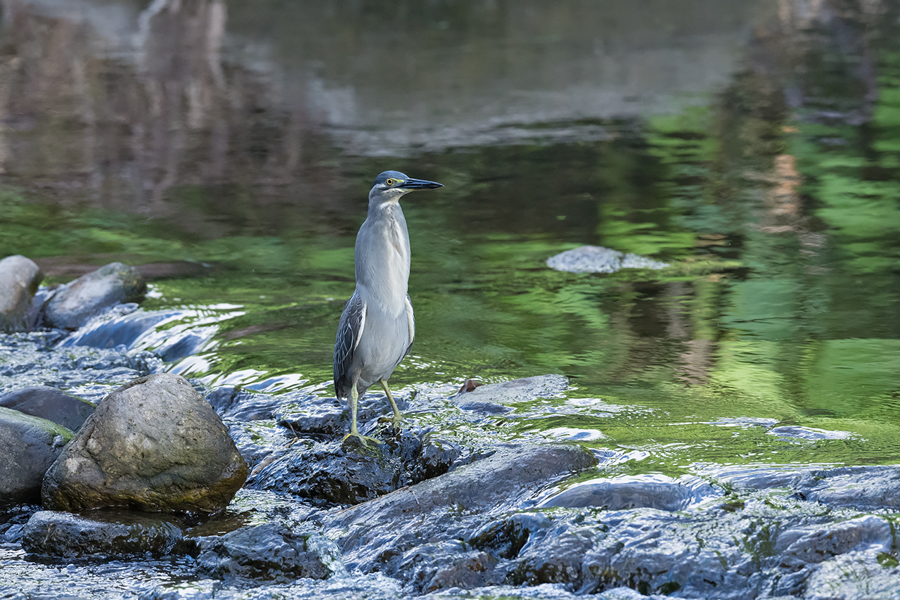 f:id:xjmarin:20210807144735j:plain