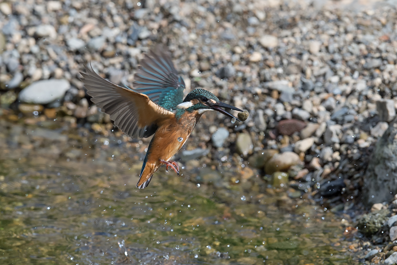 f:id:xjmarin:20210807145250j:plain