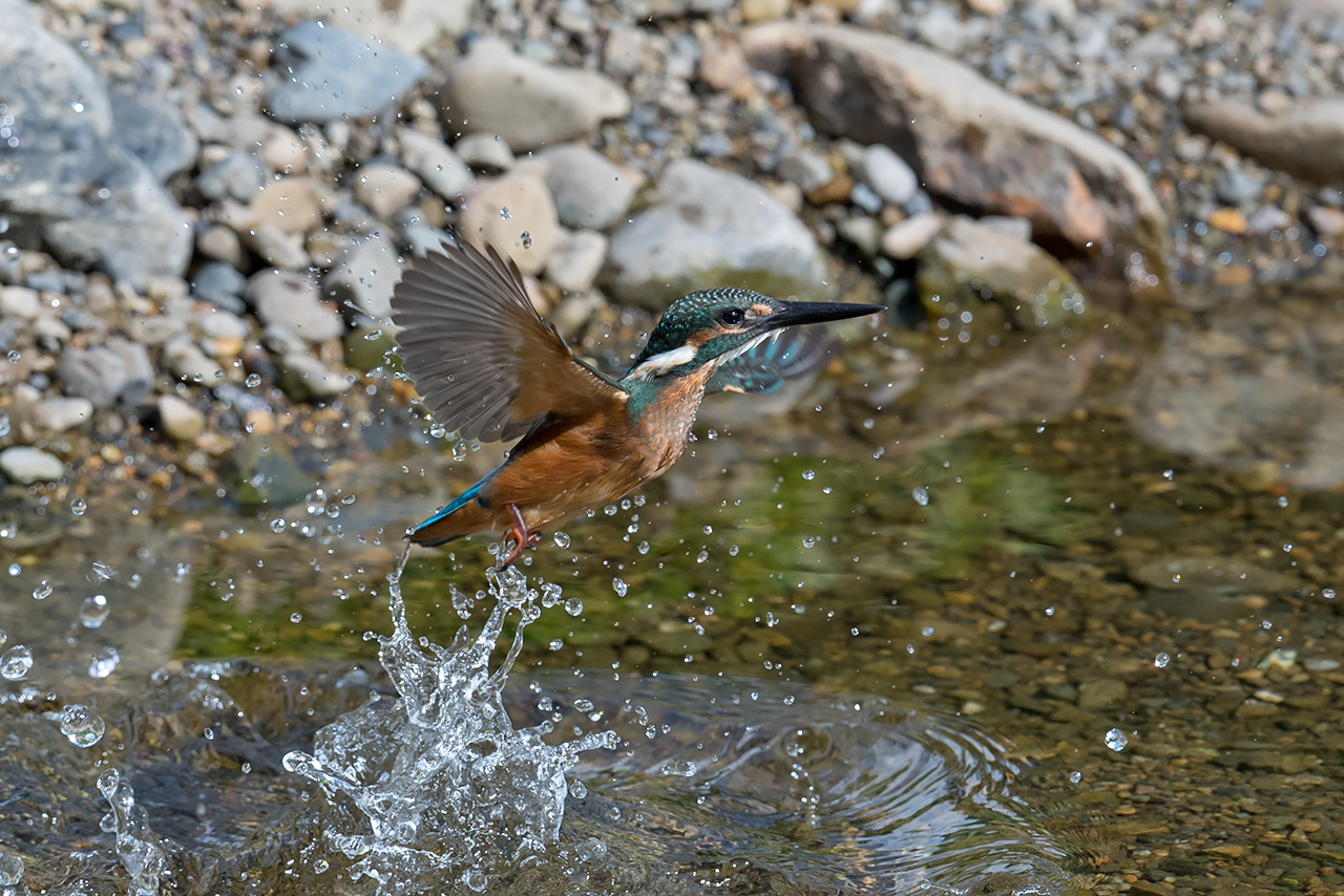 f:id:xjmarin:20210807145320j:plain