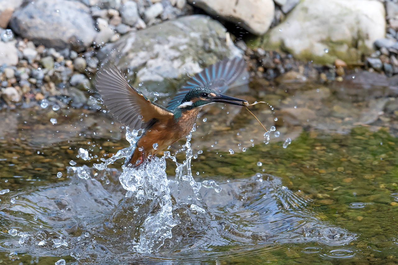 f:id:xjmarin:20210807145446j:plain