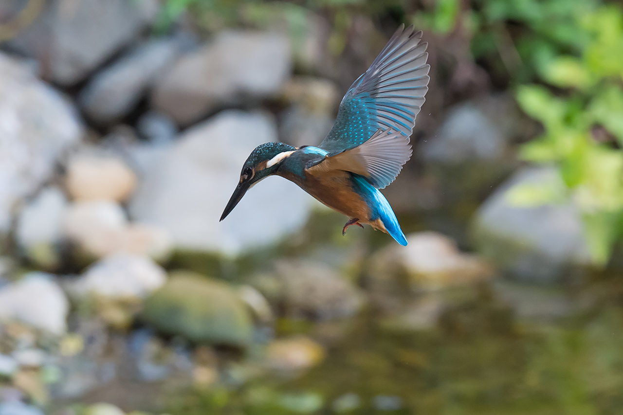 f:id:xjmarin:20210807145504j:plain