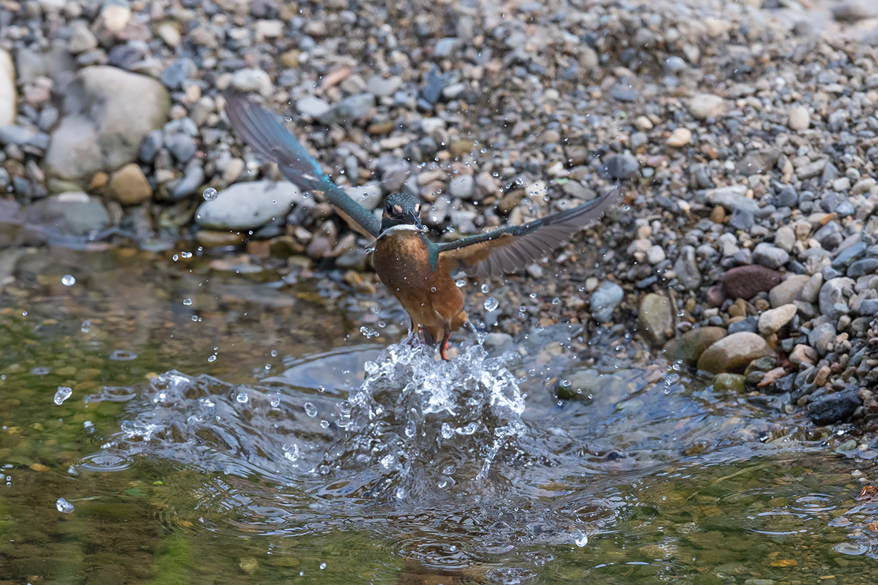 f:id:xjmarin:20210807145514j:plain