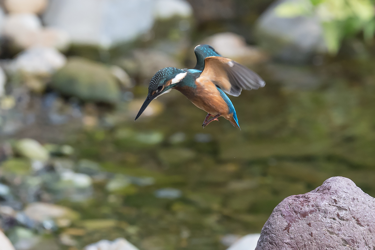 f:id:xjmarin:20210807145523j:plain