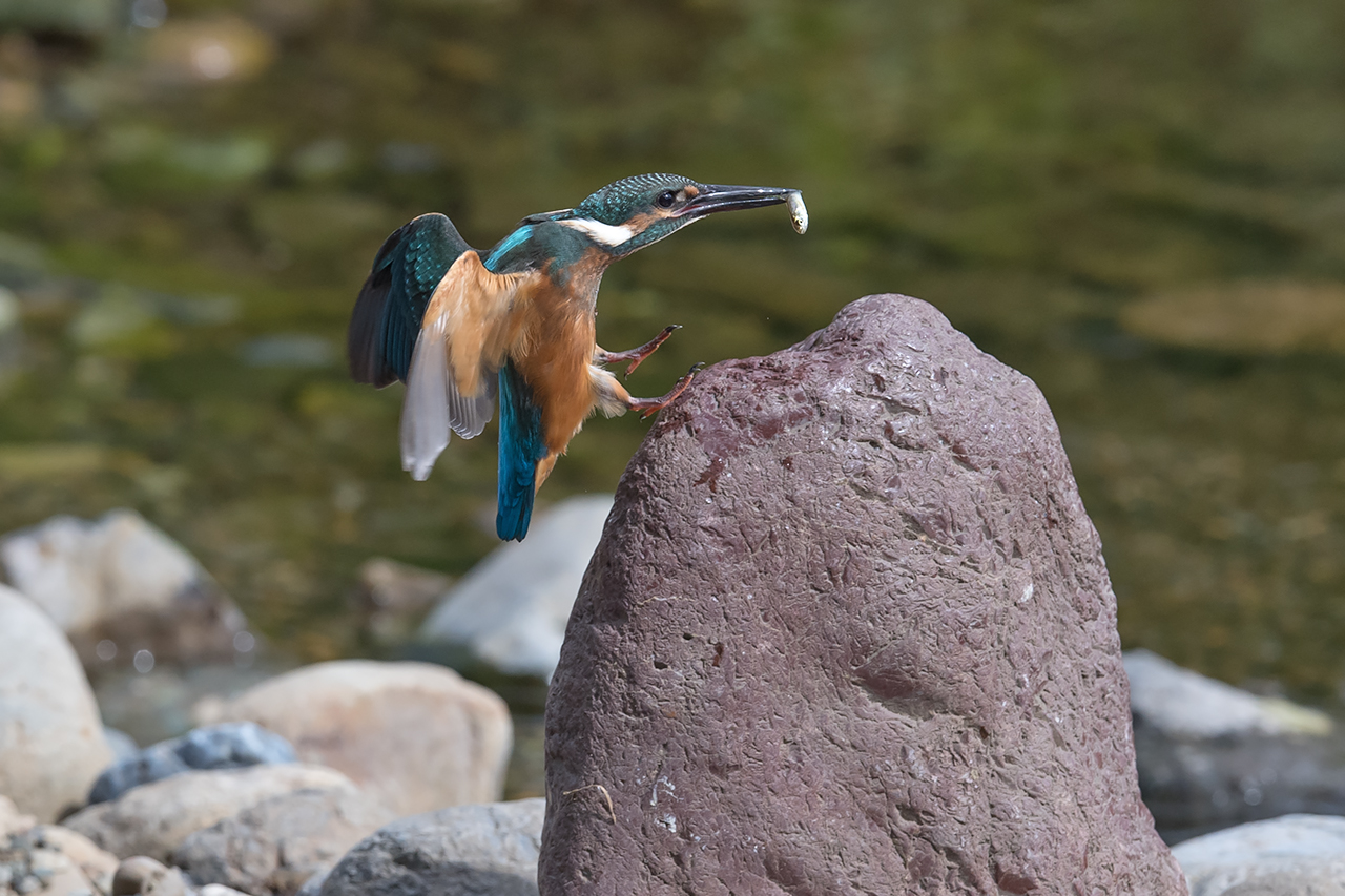 f:id:xjmarin:20210807145546j:plain