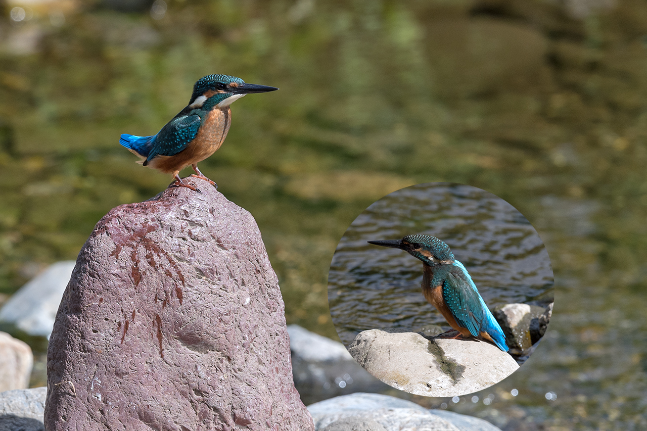 f:id:xjmarin:20210807145554j:plain