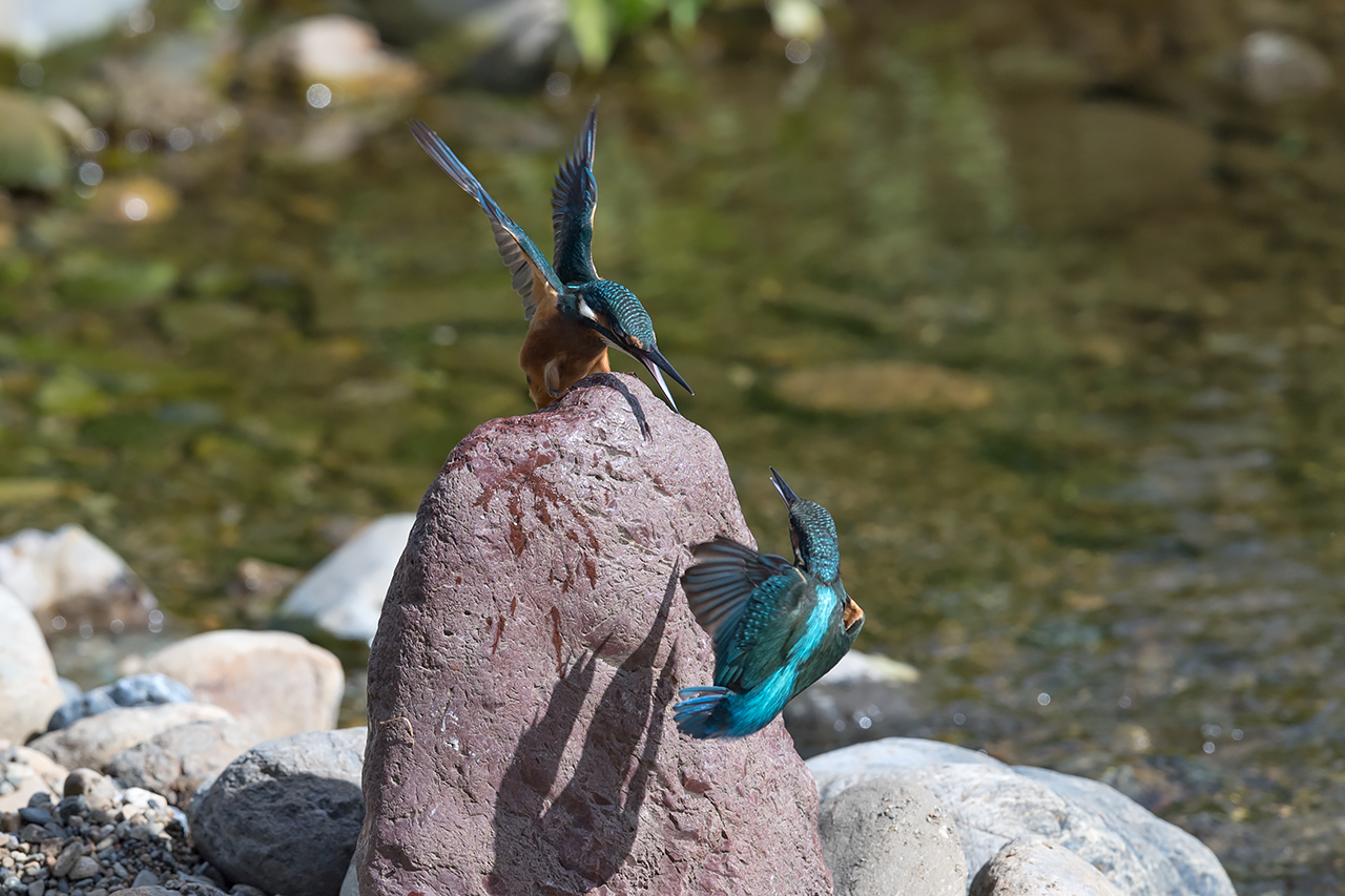 f:id:xjmarin:20210807145742j:plain