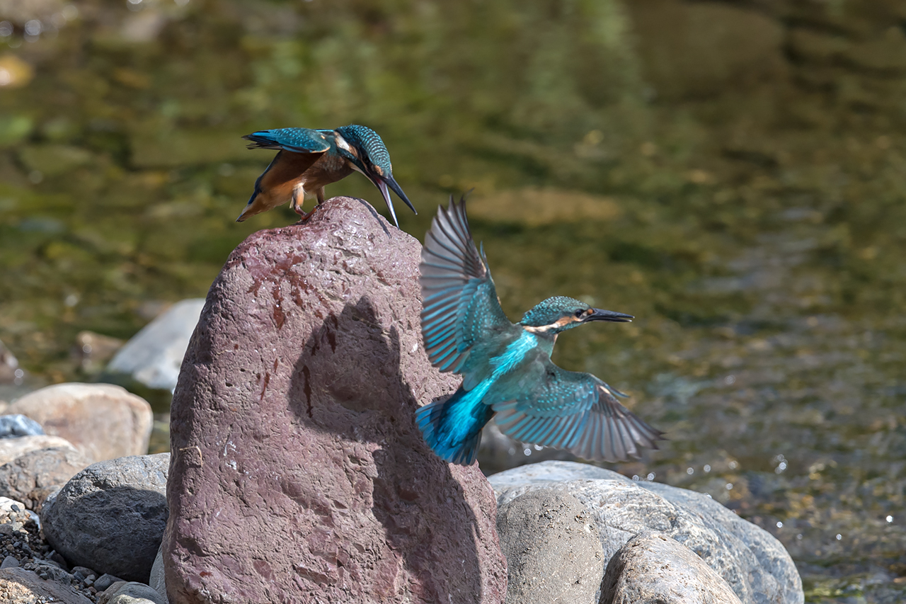 f:id:xjmarin:20210807145748j:plain