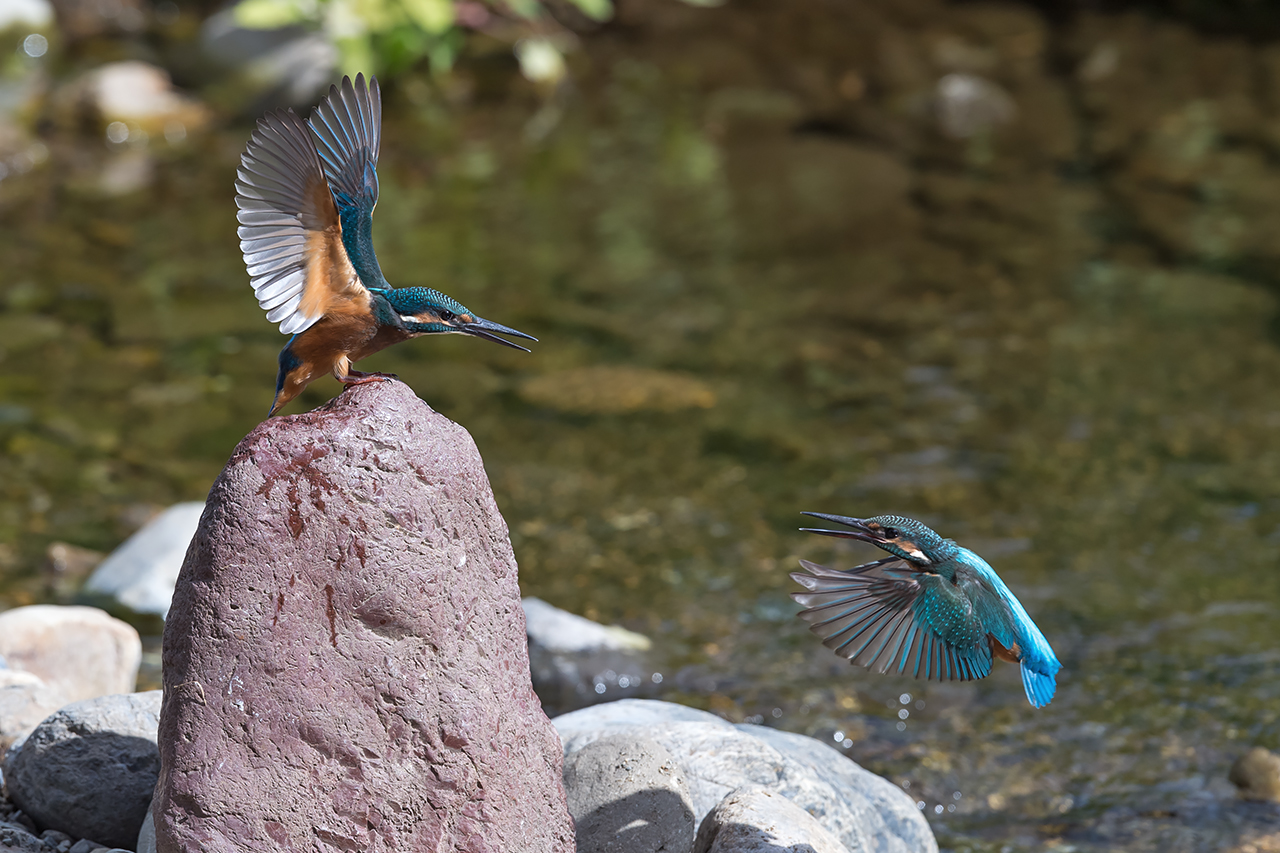 f:id:xjmarin:20210807145935j:plain