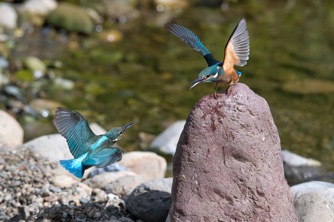 f:id:xjmarin:20210807145943j:plain