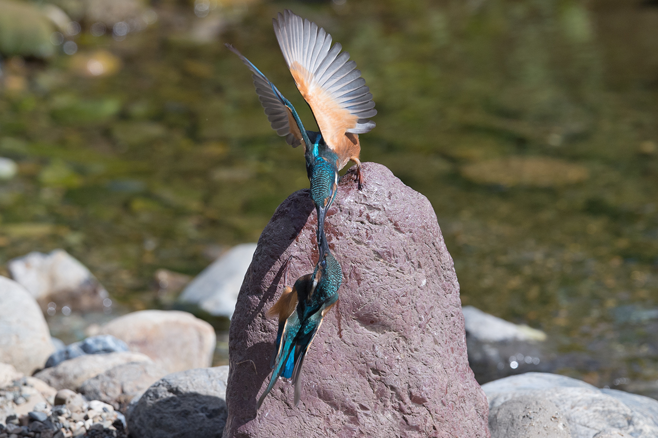 f:id:xjmarin:20210807150020j:plain