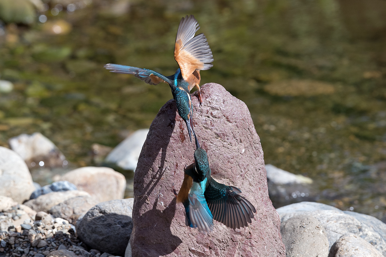 f:id:xjmarin:20210807150028j:plain