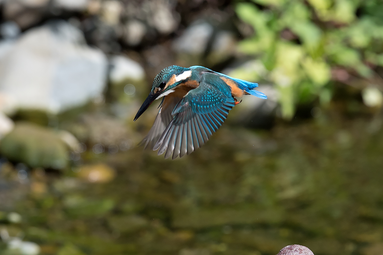 f:id:xjmarin:20210807150639j:plain