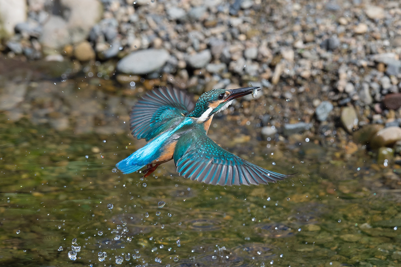 f:id:xjmarin:20210807150657j:plain