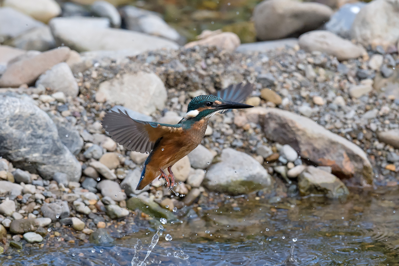 f:id:xjmarin:20210807150802j:plain