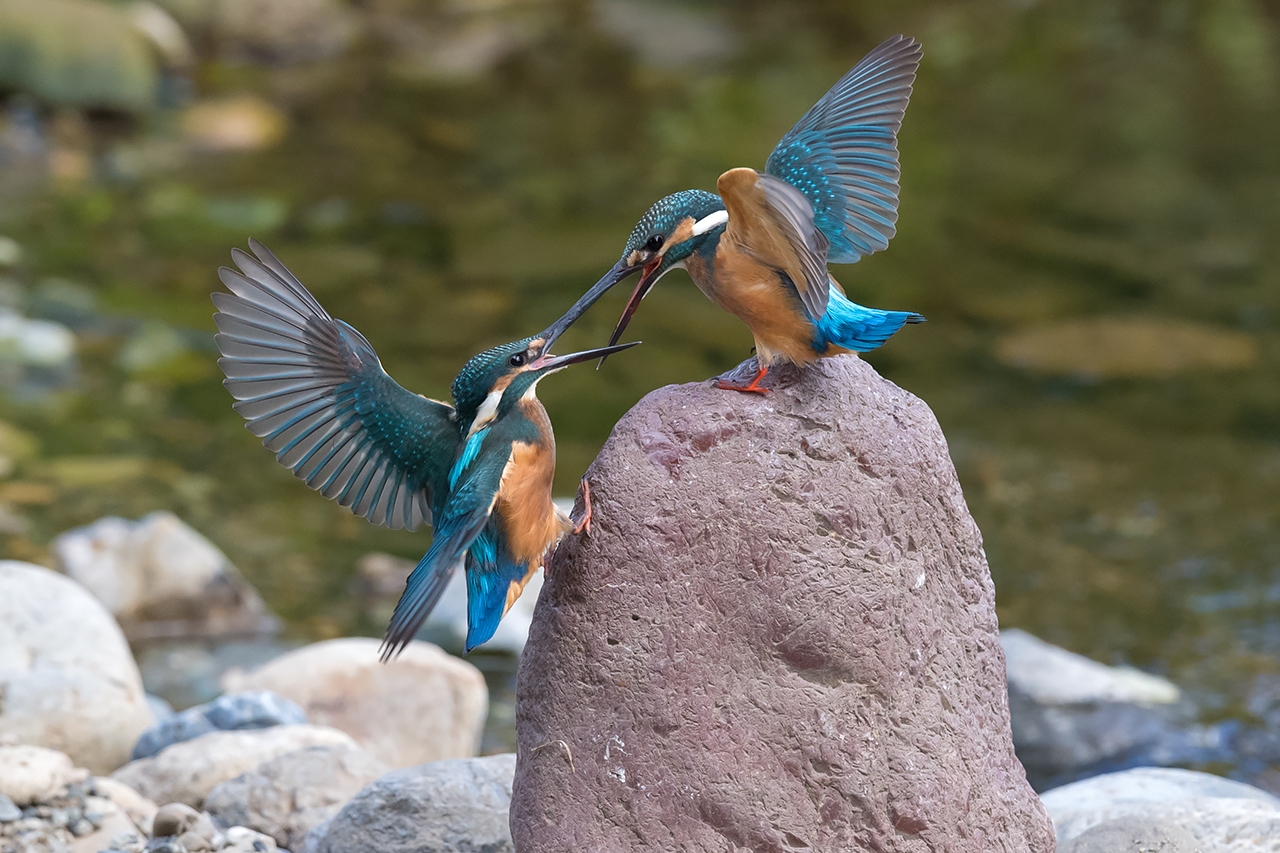 f:id:xjmarin:20210807151229j:plain