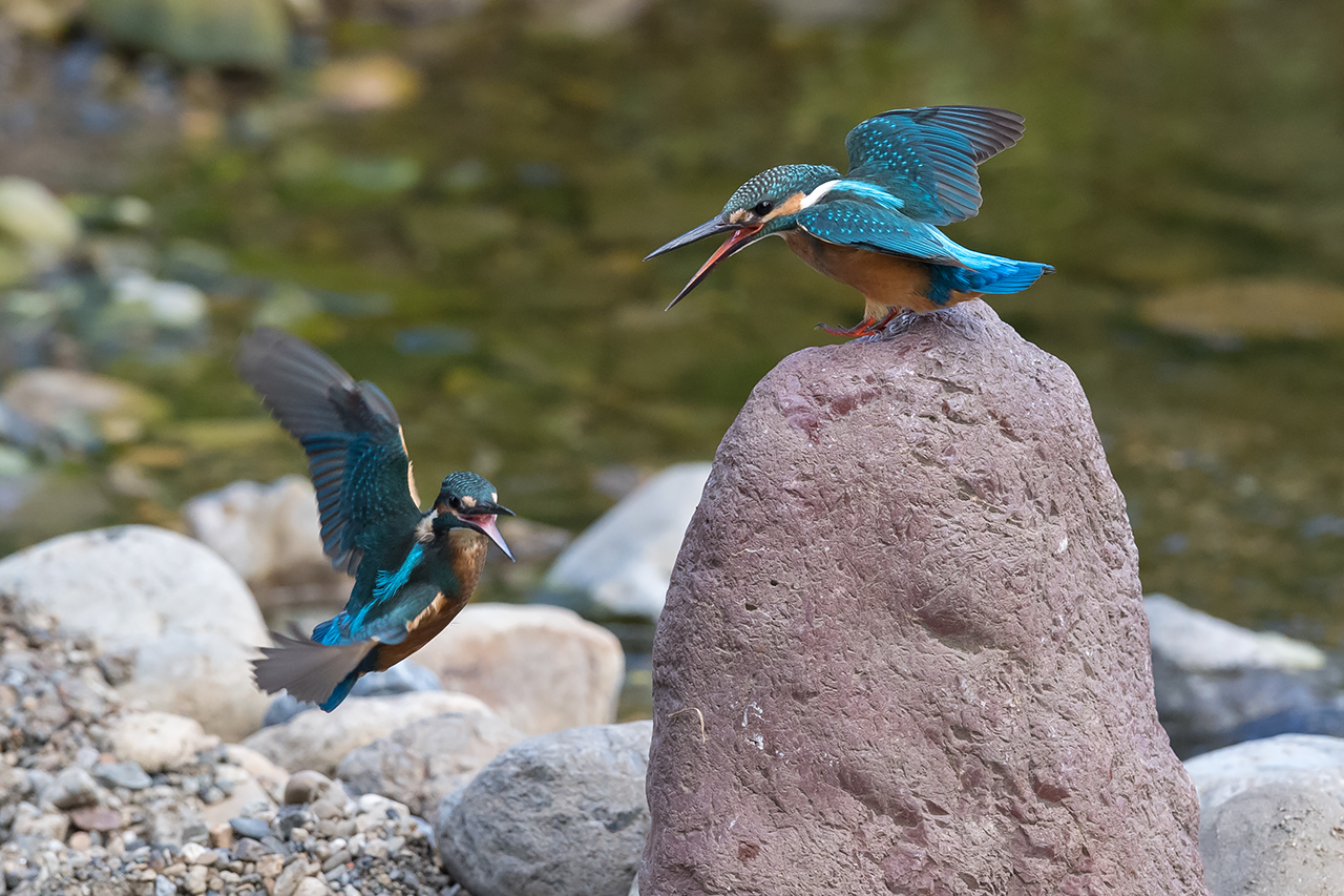 f:id:xjmarin:20210807151243j:plain