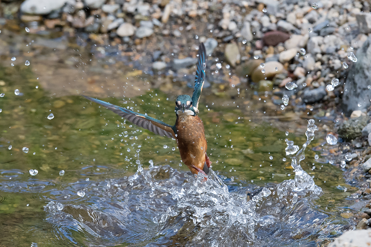 f:id:xjmarin:20210807151607j:plain