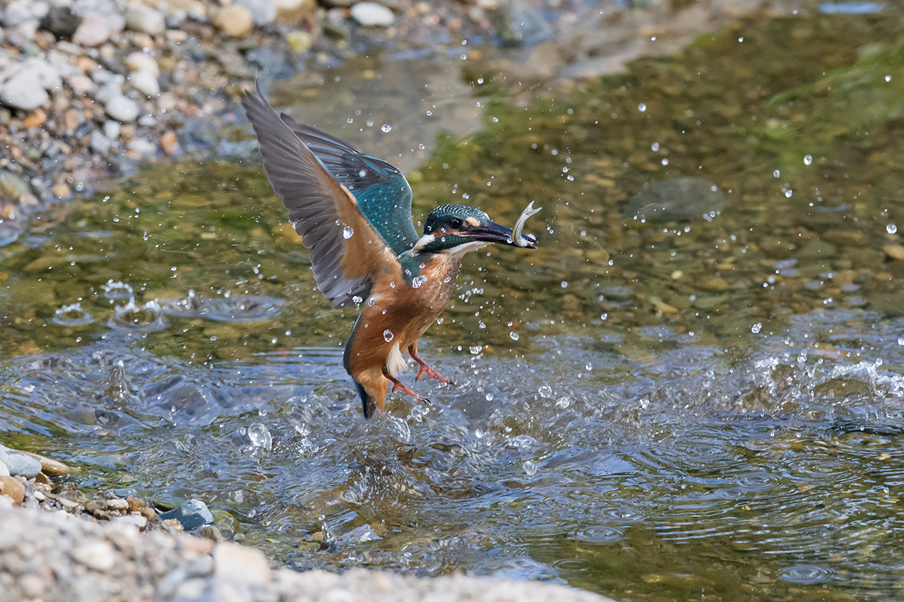 f:id:xjmarin:20210807151621j:plain