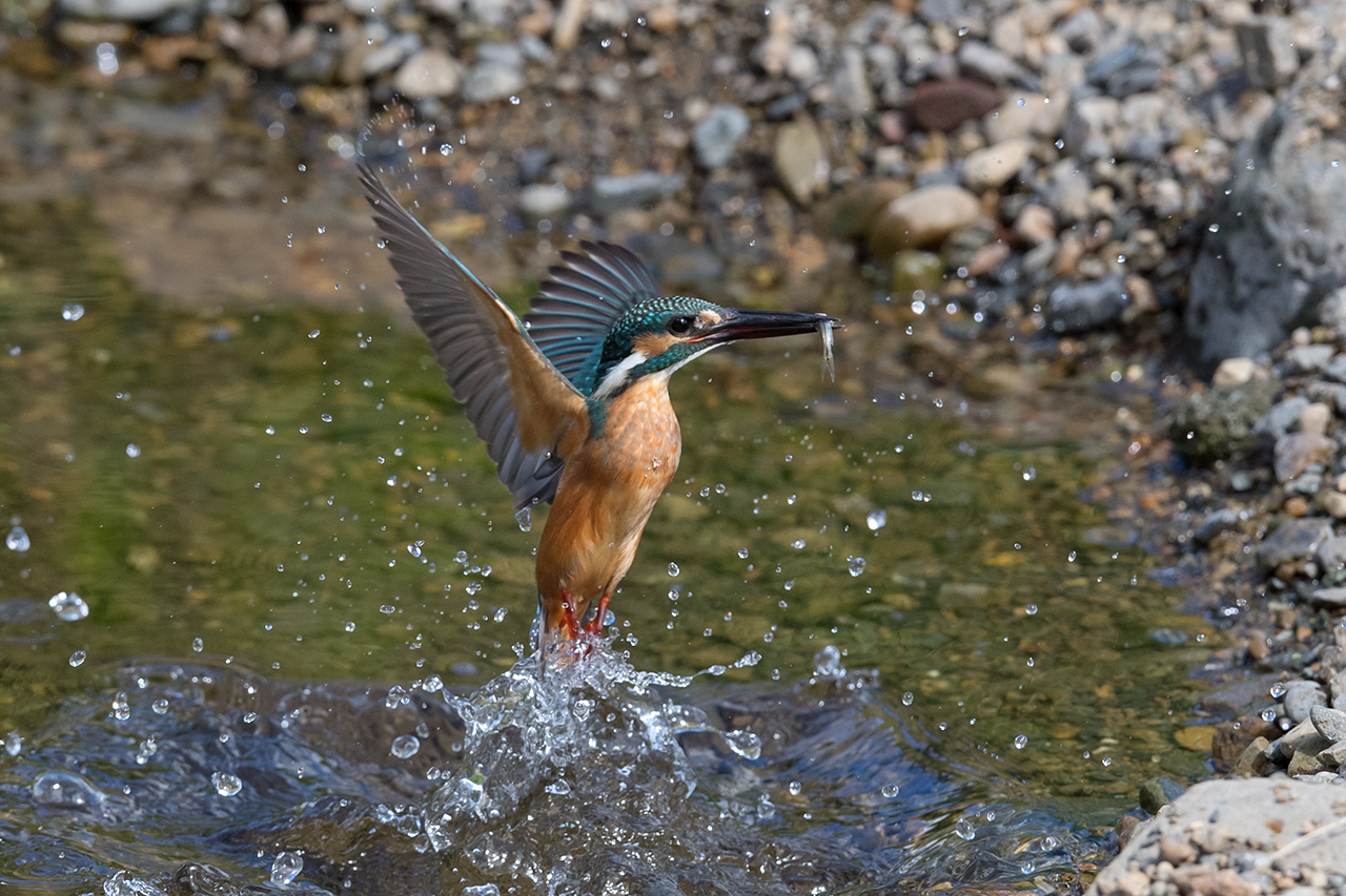 f:id:xjmarin:20210807151644j:plain