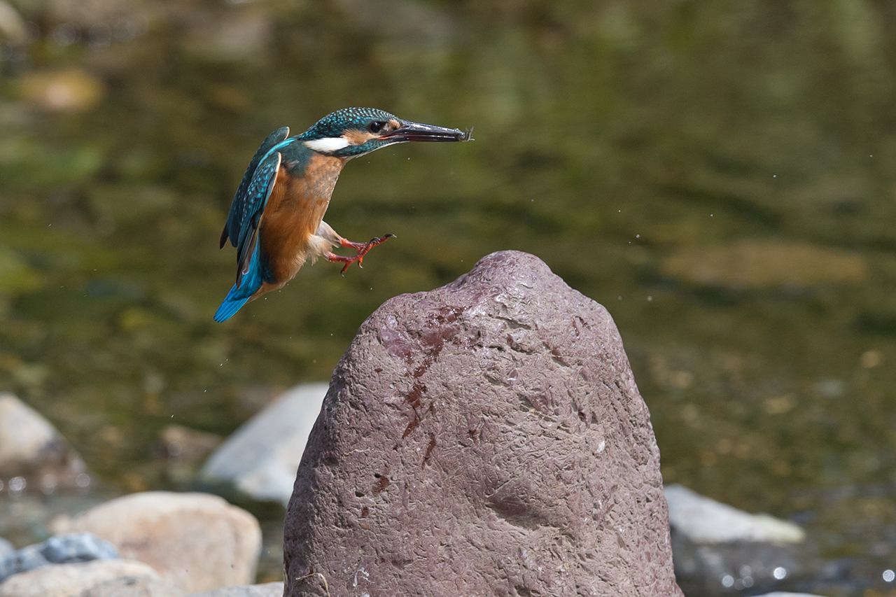 f:id:xjmarin:20210807151700j:plain