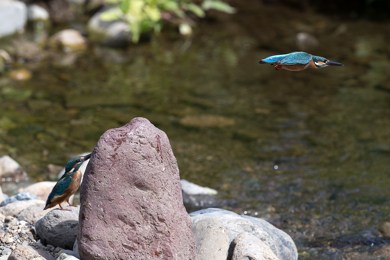 f:id:xjmarin:20210807151826j:plain