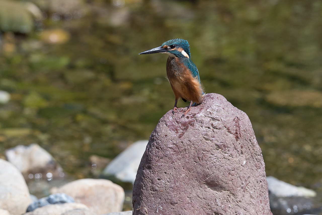 f:id:xjmarin:20210807151834j:plain