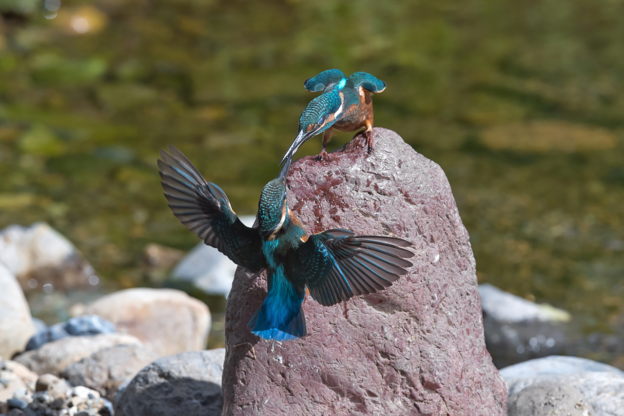 f:id:xjmarin:20210807153840j:plain