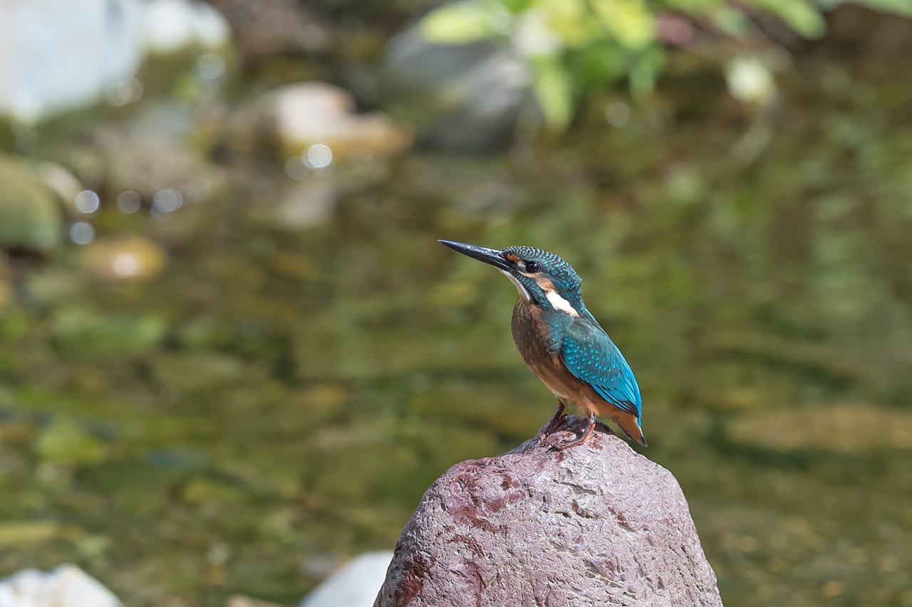 f:id:xjmarin:20210807155508j:plain