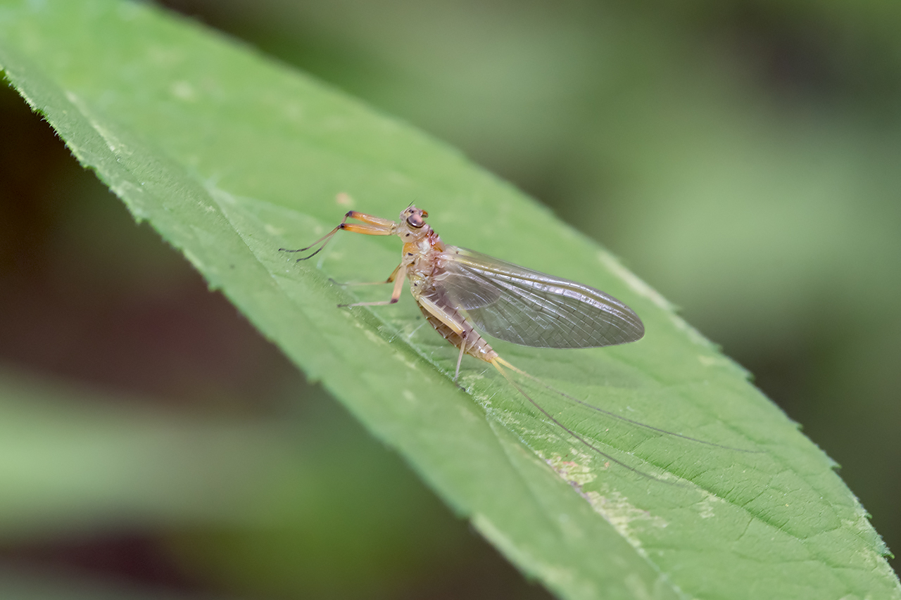 f:id:xjmarin:20210828173322j:plain