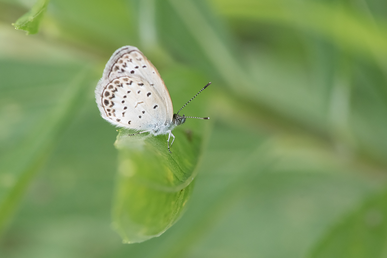 f:id:xjmarin:20210828173413j:plain