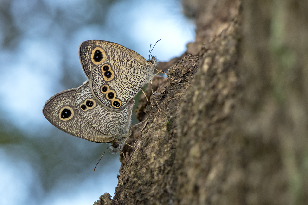 f:id:xjmarin:20210828173428j:plain