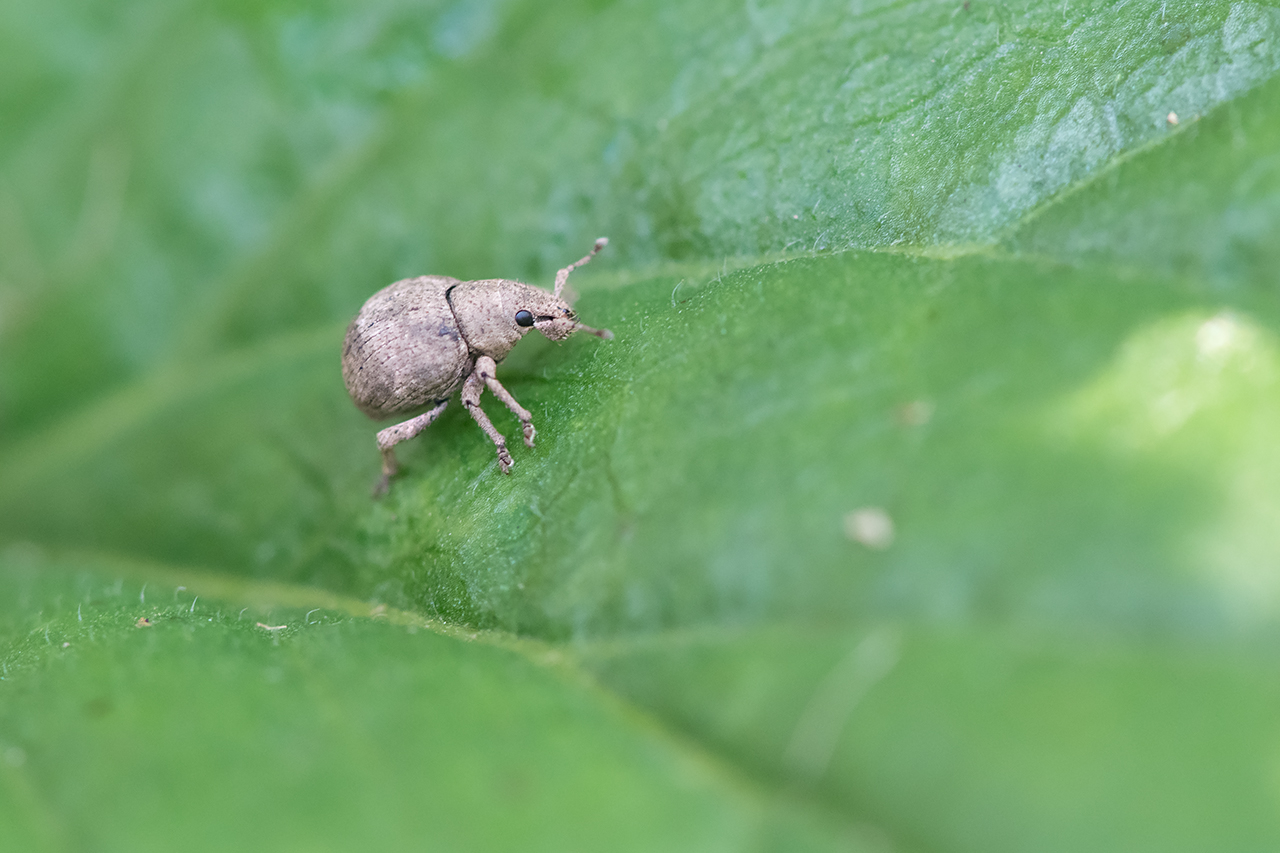 f:id:xjmarin:20210828173449j:plain